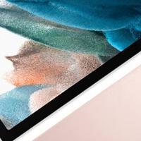 Apple iPad 和其他品牌的平板电脑在哪些方面有别？