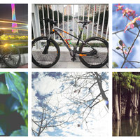 当春天的微风拂过广州，骑上单车，感受大自然的呼吸！- 广州骑行路线推荐及好物推荐