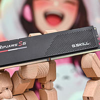 无光风冷装机好选择——芝奇 G.Skill Ripjaws S5 焰刃 DDR5-6400 内存开箱简测