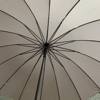 6月買了3把雨傘，遮陽遮雨都有了