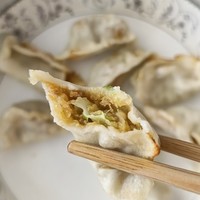 美食 篇二十六：我发誓 饺子这样做真的很好吃！附教程