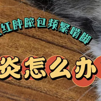 🔥猫咪脚趾间炎？快来了解一下