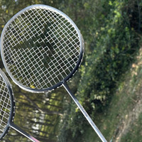 迪卡儂羽毛球拍：頂尖品牌，讓你的運動更有趣