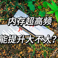 不用手动超频就能享受到极致性能？！性价比依旧——金百达刃XMP7200超高频体验 