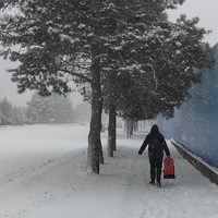 记录冰城的第一场雪！