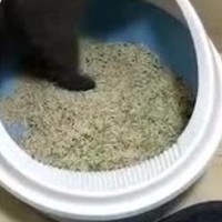 养猫必备好物分享