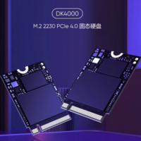 ?？低曂瞥?2TB M.2 2230 固態硬盤 DK4000 系列，可適配 Steam Deck 掌機