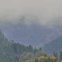 摄像头 篇一：#云雾缭绕人间仙境 #治愈系风景 #江南烟雨色，监控摄像头