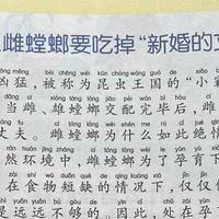 十万个为什么之为什么雌螳螂要吃掉“新婚的丈夫”