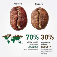 走进咖门 篇一：两大主流的咖啡豆品种：Arabica（阿拉比卡） VS Robusita（罗布斯塔）