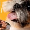 添加了百亿益生菌的狗罐头，狗狗爱吃还有营养。