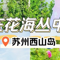 春日亲子游：江苏苏州西山岛的美丽奇遇