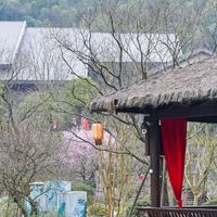 去山里过两天「神仙日子」