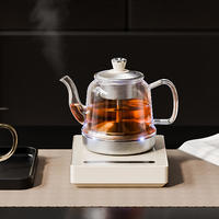 煮茶器 篇一：煮茶新潮流！这款智能煮茶器让你秒变茶艺大师