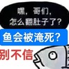 我們養的觀賞魚會被淹死？是的！你別不信，不過原因很簡單