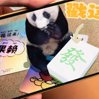 手机数码 篇十二：花花·普罗卡上的鲜活故事，一张智慧卡片连接大熊猫情感世界