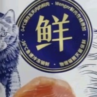 救助协会帮助流浪猫咪们：猫咪的食物