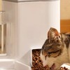 貓咪自動喂食就選一體機！