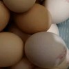 618種草好物之黃天鵝可生食鮮雞蛋30枚禮盒裝無菌蛋無腥味早餐溏心蛋