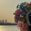 浪客行 篇二百七十六：泉州｜蟳埔村簪花體驗，晴天傳統簪花