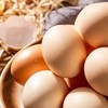 營養專家力薦：雞蛋的N種健康吃法