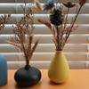 ??小干花與莫蘭迪陶瓷花瓶，點亮北歐風情客廳的絕配??