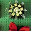 樂高（LEGO）積木拼裝10309 肉質植物18歲+男孩女孩玩具生日禮物