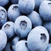 好吃的藍莓，今天你吃了嗎？