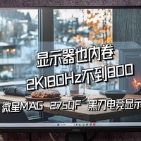 生命不息内卷不止，不到800大厂电竞显示器｜微星MAG 275QF 黑刃