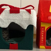 教你低成本做个简易猫屋，猫猫过冬不用愁