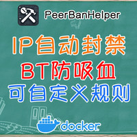 提升BT下载效率神器，吸血用户克星，利用PBH全面优化下载体验