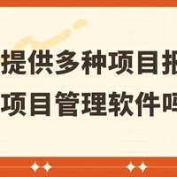 一站式项目管理工具，实现多样报表需求无忧