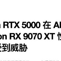 AMD Radeon RX 9070 XT 性能表现