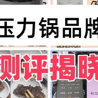 电压力锅哪个品牌好？实测五款电压力锅品牌，选购指南全知晓