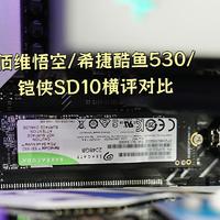 佰维悟空/希捷酷鱼530/铠侠SD10，三款PCIe4.0 2T固态硬盘横评