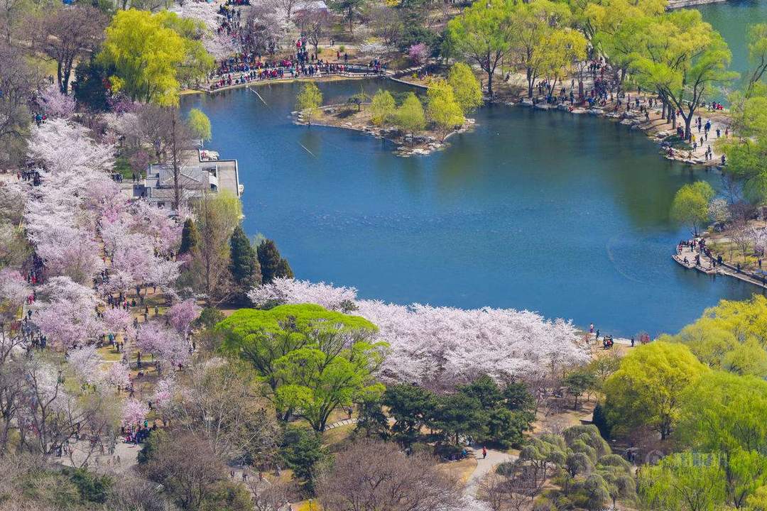 值友招募 | 赏花、香水、大别墅……