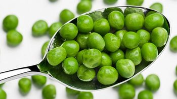 2017年物种日历 篇十一：豌豆青豆荷兰豆，原来都是一种豆？ 