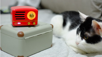 Ricle 的研究社 篇七：猫王小王子OTR 开箱和简单测评 强制晒猫！ 
