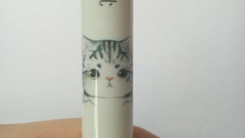 苏铁时光 萌猫钢笔，