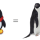 【自然小课堂】腾讯家的企鹅到底是什么品种？