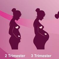 怀孕的那些事 篇三：怀孕的那些事 篇三：宝宝三个月啦！