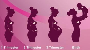 怀孕的那些事 篇三：怀孕的那些事 篇三：宝宝三个月啦！