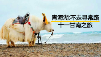 #出游记#大象旅行体验官：十一甘南之旅 篇一：不走寻常路的青海湖免费之行 