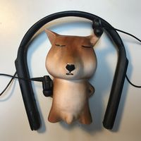 离开它已变成不可能的温存—SONY 索尼 WI-1000X 测评