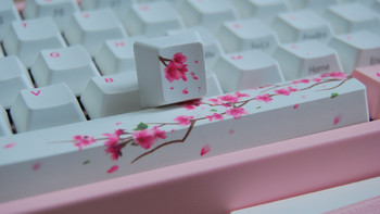 秋天也有樱花开—Varmilo 阿米洛 MIYA PRO 60% 机械键盘
