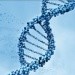 23andme基因检测试用去看看知乎——360基因测评