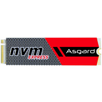 阿斯加特(Asgard) AN系列 256G M.2接口(NVMe协议) SSD固态硬盘