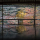 日本最美网红景点打卡——琉璃光院