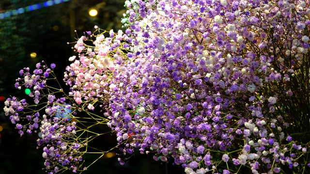 FUJIFILM富士X-T20相机晒单 & 使用感受