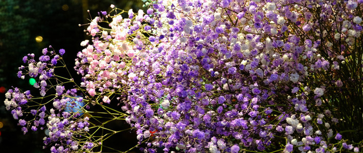 FUJIFILM富士X-T20相机晒单 & 使用感受